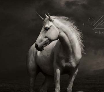 免费网络电话在线使用