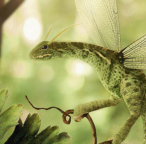 令人舒适的电话狂轰滥炸软件