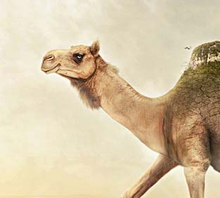 免费电话轰炸软件